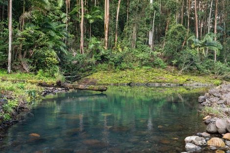 454 Hopkins Creek Rd, Hopkins Creek, NSW 2484