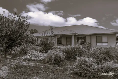 Property photo of 221 Drummond Avenue Loxton SA 5333