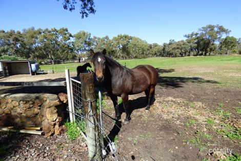Property photo of 360 Parkland Drive Julimar WA 6567