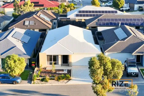 8 Potoroo St, Banksia Grove, WA 6031