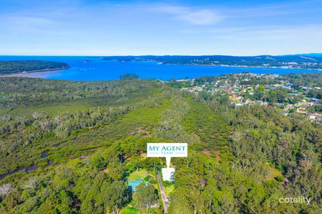 Property photo of 16 Burri Palm Way Surfside NSW 2536