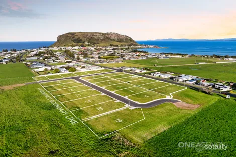 50 Dovecote Rd, Stanley, TAS 7331
