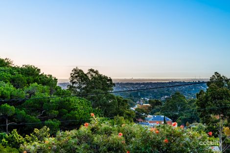 Property photo of 14 Camelia Street Tea Tree Gully SA 5091