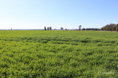 734 Adavale Lane, Goonumbla, NSW 2870