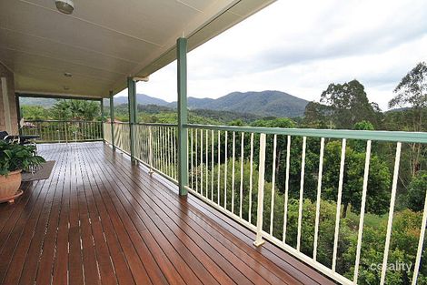 Property photo of 3 Toon Close Uki NSW 2484