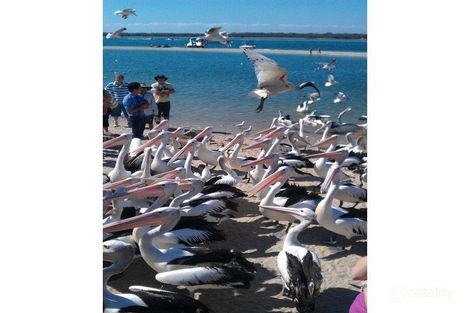 26/38 Labrador St, Labrador, QLD 4215