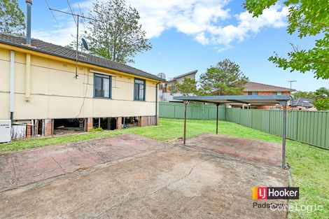 Property photo of 20 Cory Avenue Padstow NSW 2211