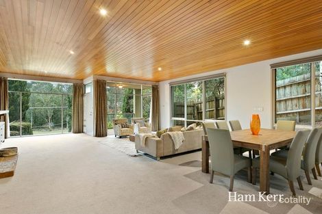 Property photo of 53 Winfield Road Balwyn North VIC 3104
