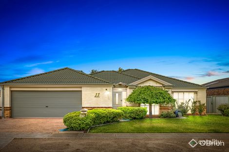 Property photo of 11 Yankos Drive Werribee VIC 3030