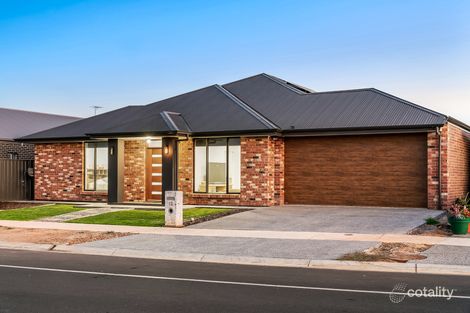 12 Manno Ave, Angle Vale, SA 5117