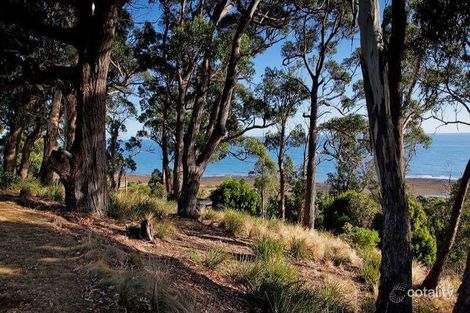 Property photo of 46 Hull Street Leith TAS 7315