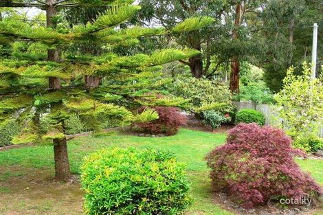 Property photo of 22 Moxhams Road Monbulk VIC 3793