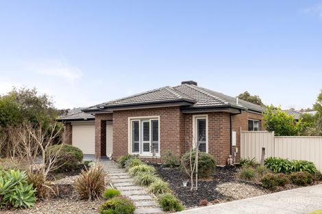 37 Black Wallaby Dr, Langwarrin, VIC 3910