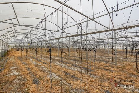 Property photo of 180 Bargo River Road Tahmoor NSW 2573