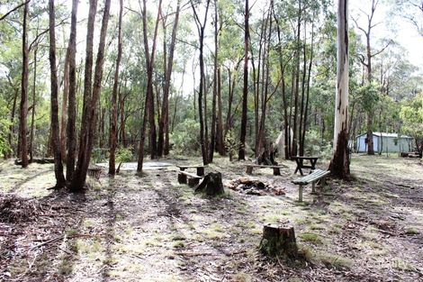 35 Dales Creek Ave, Dales Creek, VIC 3341