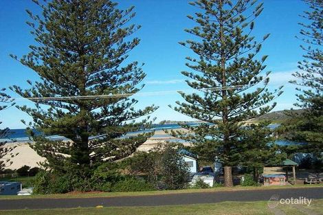 Property photo of 6 Clive Court Tuross Head NSW 2537