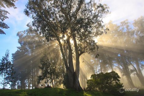 13 Lachlan Valley Way, North Kellyville, NSW 2155