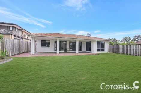 Property photo of 13 Macaranga Crescent Carseldine QLD 4034