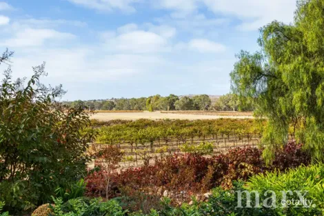 Property photo of 210 Willows Road Light Pass SA 5355