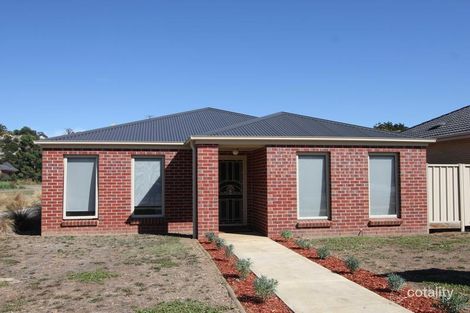 322 Larter St, Golden Point, VIC 3350