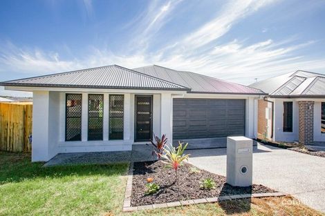 159 Watheroo St, South Ripley, QLD 4306