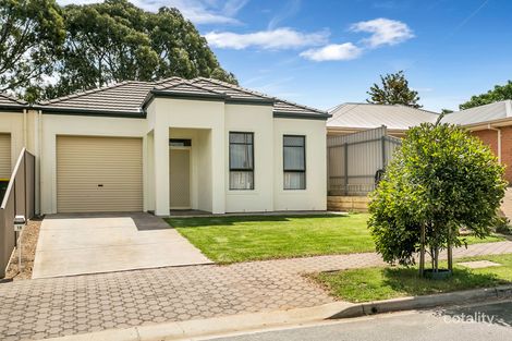 19 Tarpeena Ave, Windsor Gardens, SA 5087