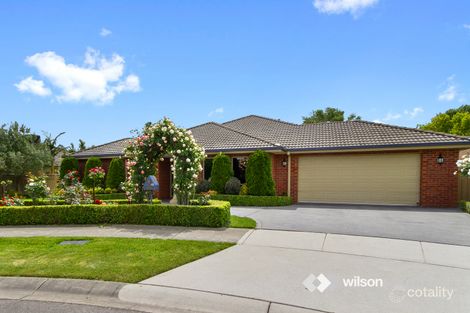 Property photo of 12 Palmgate Terrace Traralgon VIC 3844