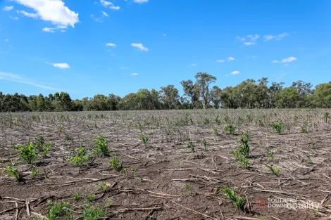 Property photo of LOT 1 Condamine River Road Mount Colliery QLD 4370