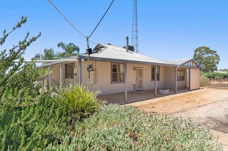 Property photo of 371 Winkie Road Winkie SA 5343