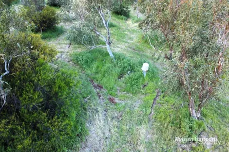 Property photo of 103 Seventh Avenue Northampton WA 6535