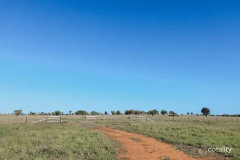 Property photo of 888 Dargal Road Bungeworgorai QLD 4455