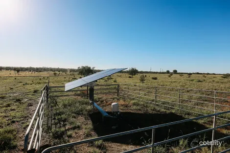 Property photo of 888 Dargal Road Bungeworgorai QLD 4455