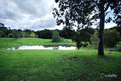 Property photo of 16 Hamilton Close Mooloolah Valley QLD 4553