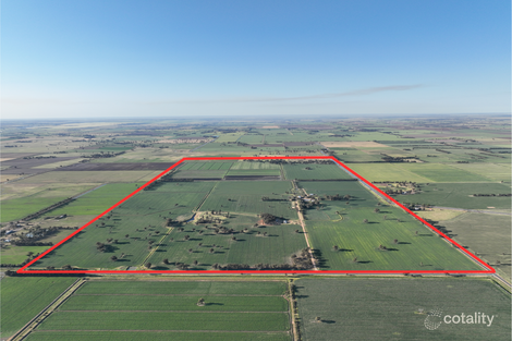 3103 Moonee Swamp Rd, Mayrung, NSW 2710