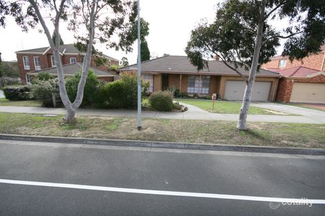 25 Buckingham Dr, Rowville, VIC 3178