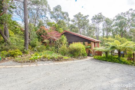 Property photo of 7 Alfred Grove Emerald VIC 3782