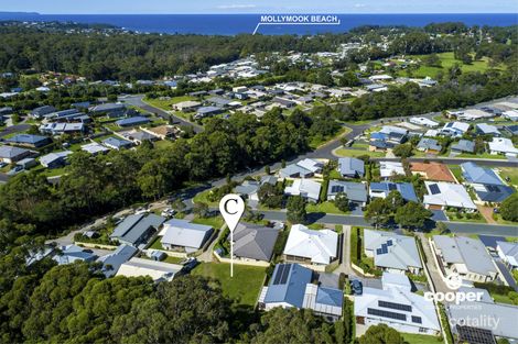 Property photo of 8A Red Gum Drive Ulladulla NSW 2539