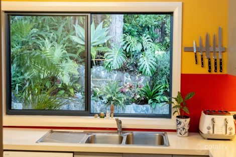 Property photo of 19 Totala Place Elanora Heights NSW 2101