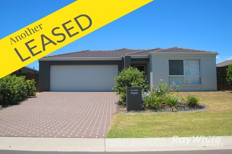 Property photo of 9 Batchelor Place Banyo QLD 4014