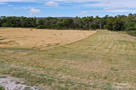 47 Gerzalia Dr, George Town, TAS 7253