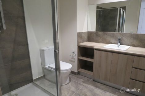 Property photo of 5/46 Kanooka Grove Clayton VIC 3168