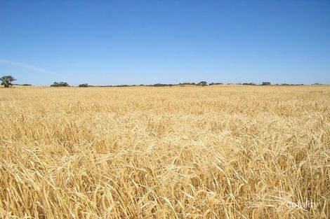 Property photo of 1 Emu Flat Road Keith SA 5267