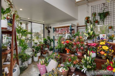 31 Urquhart St, Horsham, VIC 3400