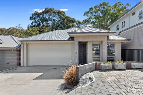 Property photo of 31 Jordan Court Aberfoyle Park SA 5159