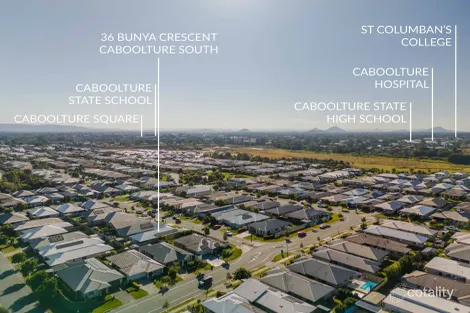 Property photo of 36 Bunya Crescent Caboolture South QLD 4510