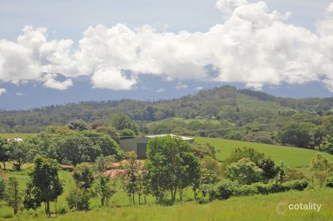 Property photo of 169 Fuller Road Lake Eacham QLD 4884