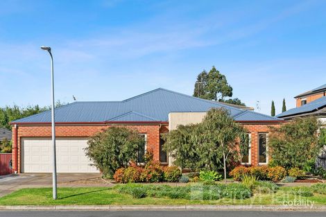 Property photo of 17 Clydesdale Way Highton VIC 3216