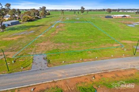 Property photo of 3 Ben Terrace Mulwala NSW 2647