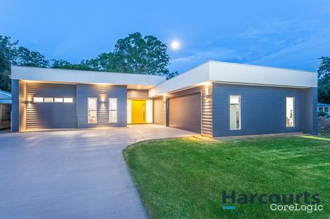 Property photo of 31 Carmody Court Petrie QLD 4502