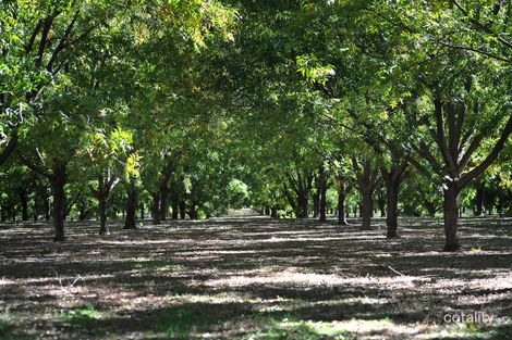 294 Ormans Lane, Kootingal, NSW 2352